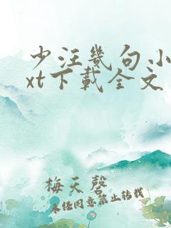 少汪几句小说txt下载全文