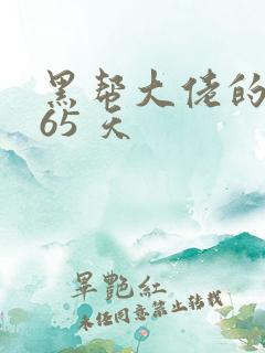 黑帮大佬的 365 天