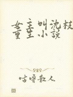 女主叫沈枝意的重生小说