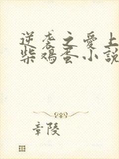 逆袭之爱上情敌柴鸡蛋小说完全版