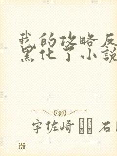 我的攻略反派都黑化了小说