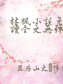 林枫小说免费阅读全文无弹窗