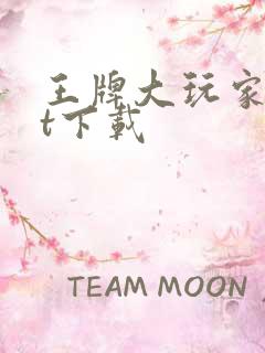 王牌大玩家txt下载