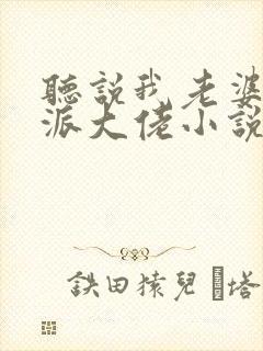 听说我老婆是反派大佬小说免费阅读