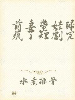 前妻带娃归来杀疯了短剧完整版