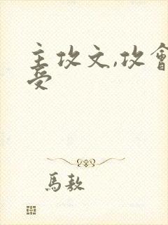 主攻文,攻会罚受