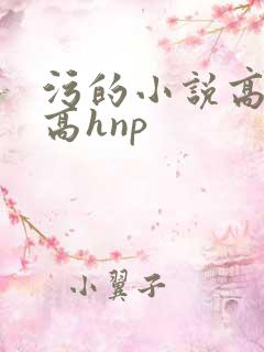污的小说高细节高hnp