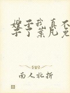 嫂子我真不是傻子了叶凡免费阅读全文