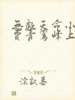 无敌天命小说免费青鸾峰上