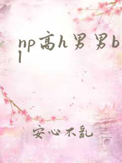 np高h男男bl