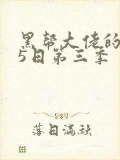 黑帮大佬的365日第三季