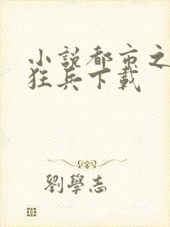 小说都市之最强狂兵下载