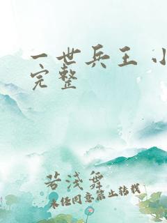 一世兵王 小说完整