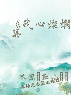 《我心灿烂》续集