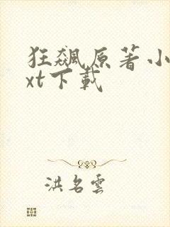 狂飙原著小说txt下载