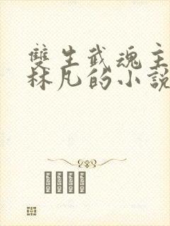 双生武魂主角叫林凡的小说