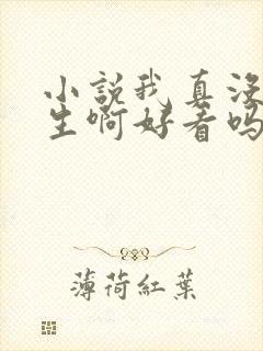 小说我真没想重生啊好看吗