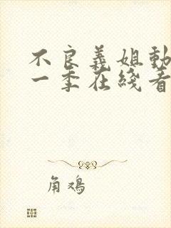 不良义姐动漫第一季在线看免费