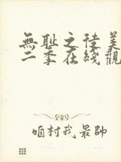 无耻之徒美版第二季在线观看