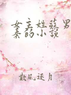 女主姓苏男主姓秦的小说