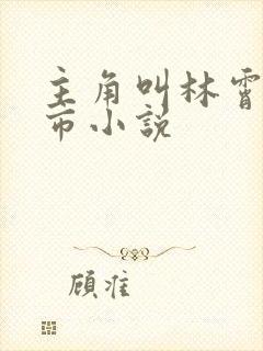 主角叫林霄的都市小说