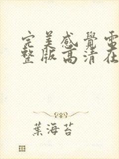 完美感觉电影完整版高清在线观看