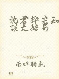 沈君桦宋知慧小说大结局