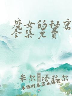 魔女的秘密契约全集免费