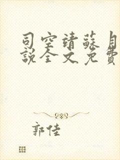 司空靖苏月汐小说全文免费阅读章节