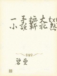 一手抚大txt小说靳北然