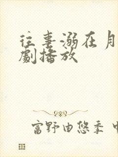 往事溺在月光短剧播放