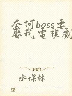 奈何boss要娶我电视剧免费观看