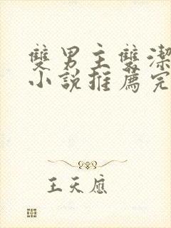 双男主双洁甜文小说推荐完结