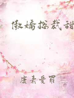 傲娇总裁甜宠妻