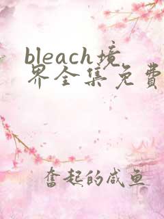 bleach境界全集免费完整版