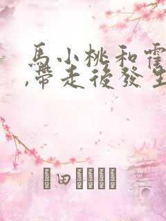 马小桃和霍雨浩,带走后发生了什么