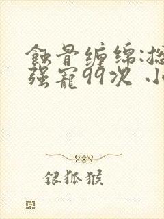 蚀骨缠绵:总裁强宠99次 小说