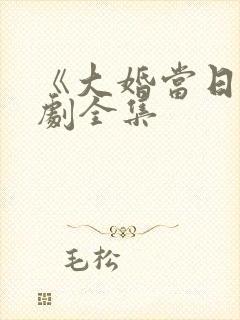 《大婚当日》短剧全集