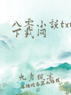 八零小说txt下载网