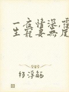 一夜情深,霍先生宠妻无度完本