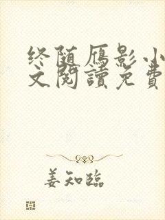 终随雁影小说全文阅读免费