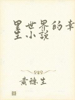 里世界的幸福人生小说