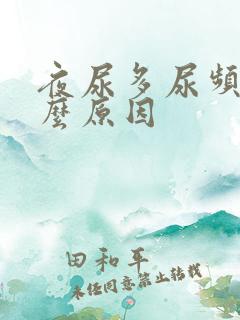 夜尿多尿频是什么原因