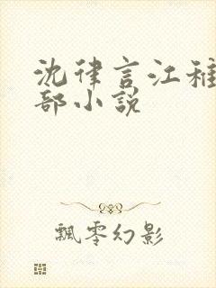 沈律言江稚是哪部小说