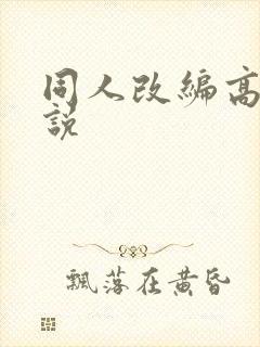 同人改编高h小说