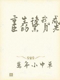 重生后我成了奸臣的黑月光小说