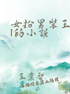 女扮男装王爷gl的小说