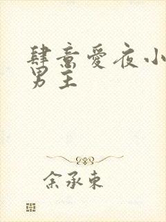 肆意爱夜小说双男主