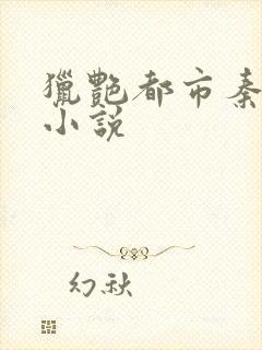 猎艳都市秦南的小说