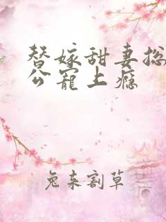 替嫁甜妻总裁老公宠上瘾